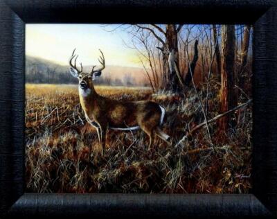Jim Hansel Bluff Country Buck Deer Art Print 19 x 15
