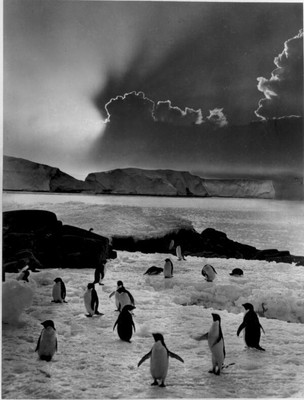 Antarctic A summer idyll, midnight by the great ice barrier Antarc - Old Photo