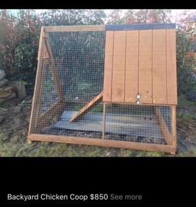 Chicken Coop In Tasmania Pet Products Gumtree Australia Free