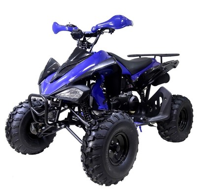 New Sports Tao Motor 150g atv 150cc for sale Automatic w/ Reverse Free shipping