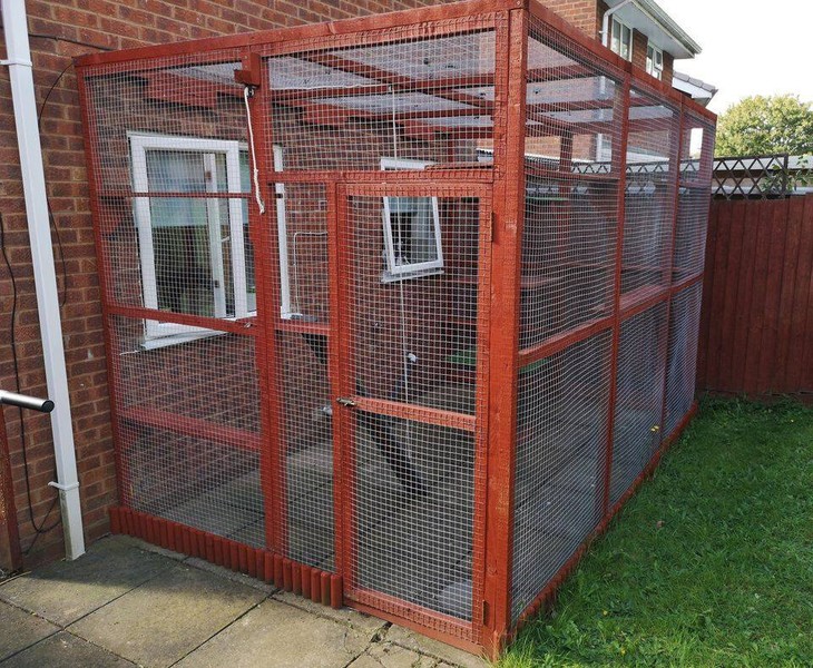 Outdoor Cat Enclosure for sale in UK View 55 bargains