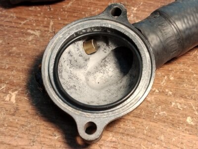 Fotos del artículo de un comprador verificado