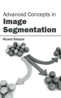 Advanced Concepts In Image Segmentation
