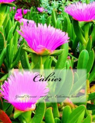Cahier - Grand Format - 100 Pages - Collection Nature: Design Original 7
