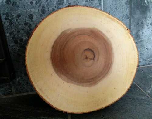 Wood slice trivit