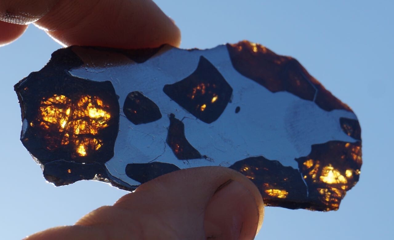 鉢・プランター Spicygem Meteorite BOWL APOLLO GAHGA Meteorite BOWL var. APOLLO – GAHGA
