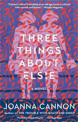 Three Things about Elsie (Paperback or Softback)