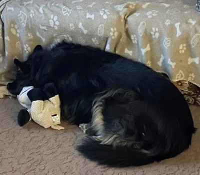 Artikelfoto(s) von einem verifizierten Käufer