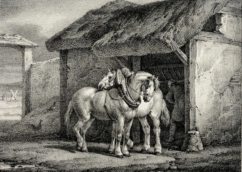 Cheval Ferme Lithographie Animalia Horace Vernet XixÂ°