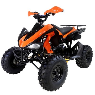 New Sports Tao Motor 150g atv 150cc for sale Automatic w/ Reverse Free shipping