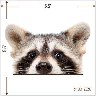 Peeking Raccoon Car Decal Funny Head Face Animal Vinyl Bumper Waterproof Sticker