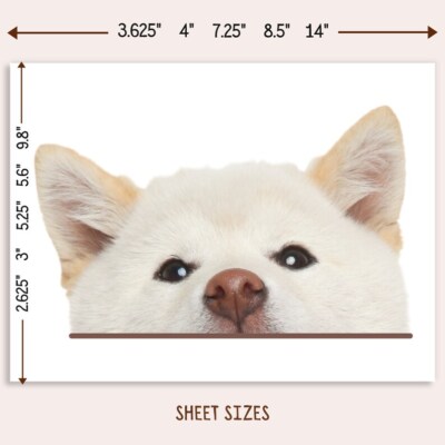 Peeking White Shiba Inu Car Sticker / Realistic Dog Head Vinyl Waterproof Decal