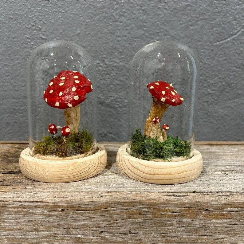 Preserved Mushroom And Moss In Glass Dome Hand Painted King Oyster