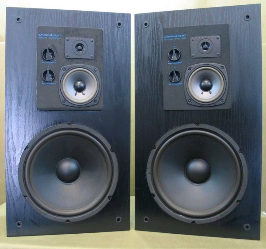 Great Omni Audio SA 12.3. 12" 3way speaker in Crystal Palace, London Gumtree