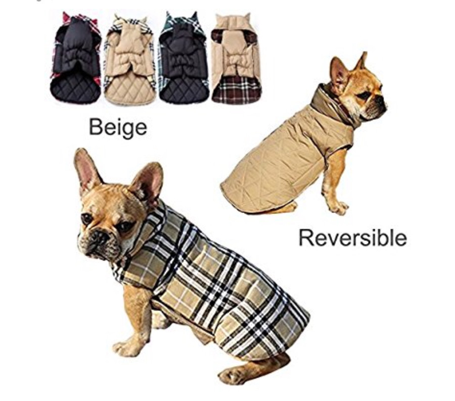 Burberry dog coat in Cowdenbeath, Fife Gumtree