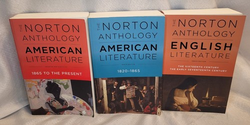 洋書 NORTON ANTHOLOGY AMERICAN LITERATURE The Norton Anthology of American Literature 1914-1945 10th