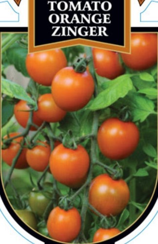 Orange Zinger Tomato 20+ Seeds (Cherry Tomato) Cherry Oval