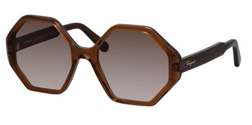 Ferragamo Womens Crystal Brown Sunglasses w/ Gradient Lens SF1070S-210 Italy
