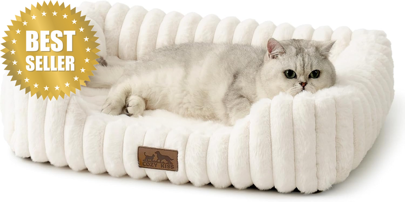 Orthopedic Dog Bed for Small Dogs & Medium Dogs - Washable Rectangle Pet Bed wit