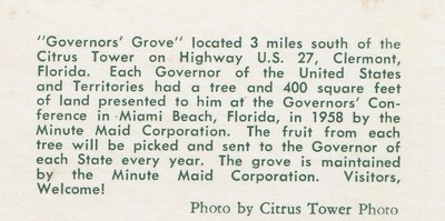 US FL Clermont c.1950 GOVERNORS GROVE MINUTE MAID ORANGE B4 ANITA BRYANT!!