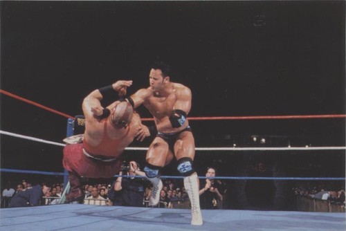 1999 Comic Images WWF WrestleMania Live! - The Rock The Sultan #23
