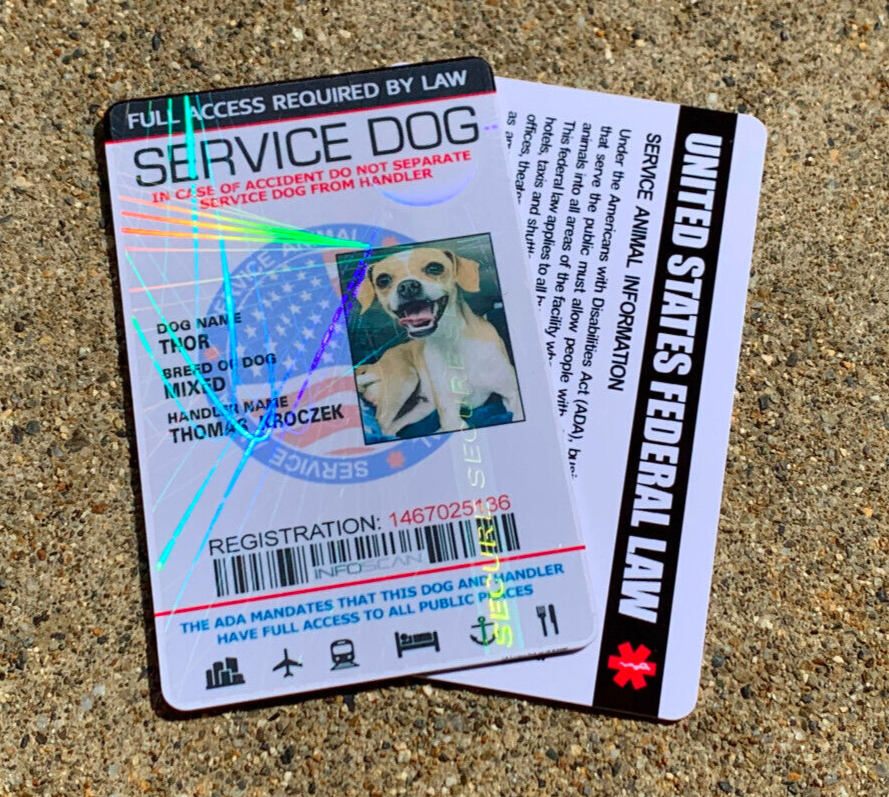 Service Dog ID Card Customized Holographic 