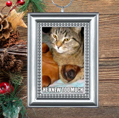 Cat Kitty Kitten & Puppy Dog Adorable Funny Christmas Tree Ornament