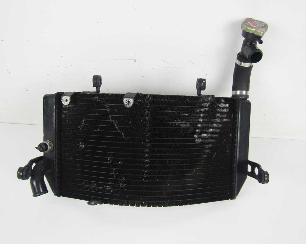 Radiatore Originale per HONDA CBR 600 F CBR600FW 1998 Radiator