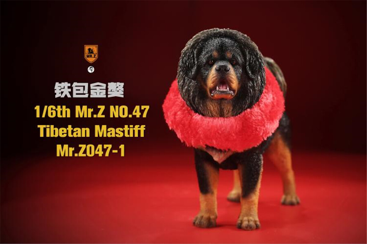 Mr.Z　1/6 ナポリタン・マスティス 動物 置物 フィギュア 001 フィギュア専門店 -ソダチトイズ / Mr.Z 1/6 ナポリタン