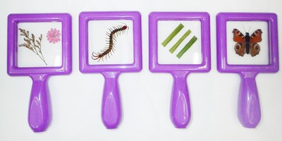 Purple Square 4 Handle Slide Set Butterfly Centipede Plant Leaf Flower Specimen