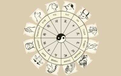 ZODIAC WHEEL YEARS GLOSSY POSTER PICTURE PHOTO BANNER