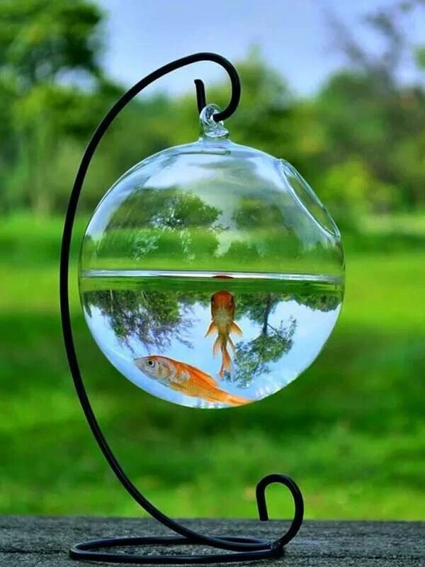Desk Glass Hanging Fish Bowl Tank with Stand Fish Homes Small Table
