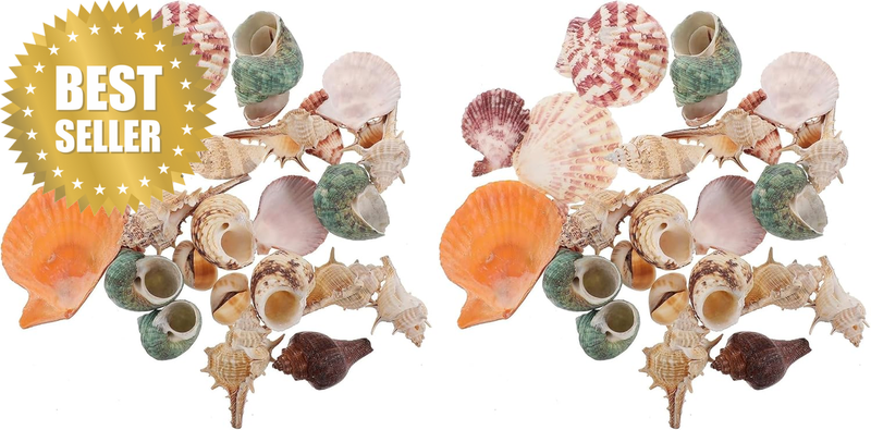Mixed Sea Shells, 200G Beach Seashells Starfish, Various Sizes Ocean Seashells f