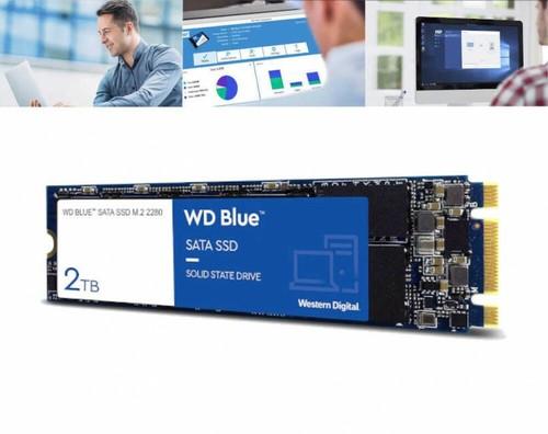 【新品未開封】WD Blue SSD 2TB WDS200T2B0A-EC Amazon.com: Western Digital 2TB WD Blue 3D NAND Internal PC