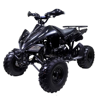 New Sports Tao Motor 150g atv 150cc for sale Automatic w/ Reverse Free shipping