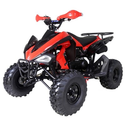 New Sports Tao Motor 150g atv 150cc for sale Automatic w/ Reverse Free shipping