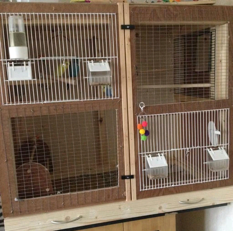 Birds cage in Walsall, West Midlands Gumtree