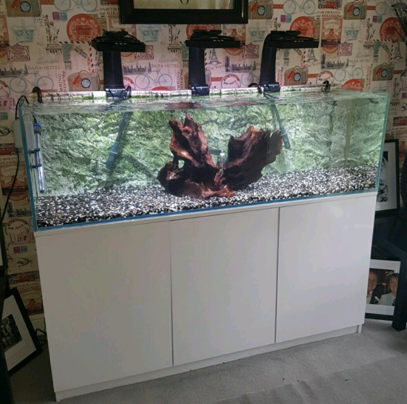 Marine/fresh water fish tank full setup. in Little Lever, Manchester