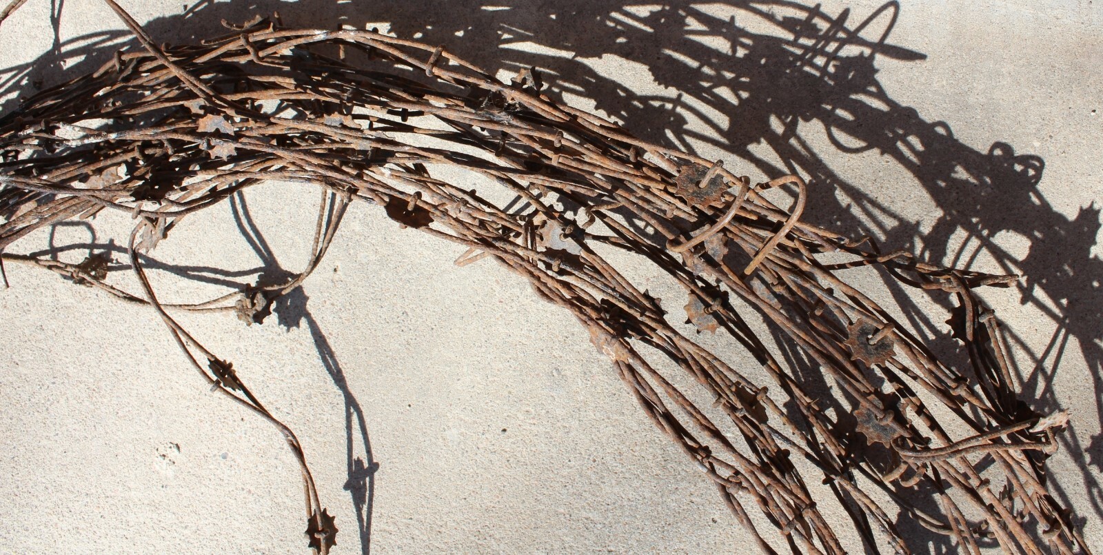 90 Ft Of Barb Wire Spur Rowel C A Hodge 10 Point