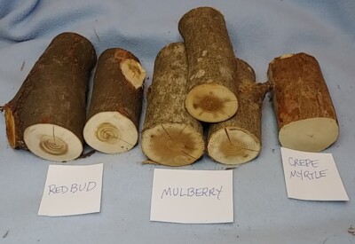 6 Pc Mixed Lot Redbud, Mulberry, Crepe Myrtle Wood Rounds Logs 5'' to 4'' Long