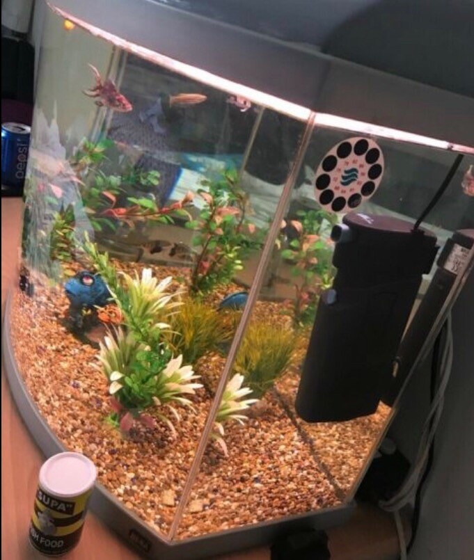 Rena 120l fish tank in Oldham, Manchester Gumtree