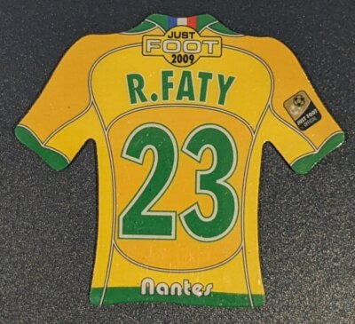 ⚽🏆⚽ MAGNETS JUST FOOT 2009 Saison LIGUE 1 de 2008-2009 ⚽