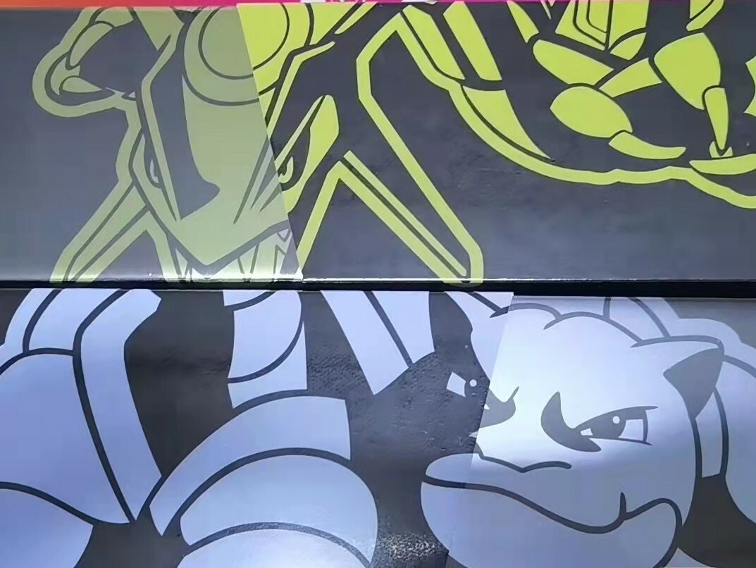 Pokemon Chinese 25th Anniversary Blastoise & Rayquaza 2