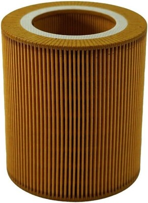 Replacement For Mann Filter C1250, C 1250, Air Intake 