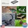 AWXZOM Reptile Feeding Box Snake cage Clear Terrarium for Snake Geckos Frog Lizards Chameleons Serpents Snake Scorpion Snail Insect Hermit Crab Isopods Reptiles Enclosure (12.6x8.6x3.9inch)