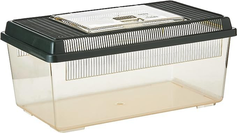 Faunarium, Flat Home, Plastic Reptile Terrarium, Medium (Pack of 1), PT2300