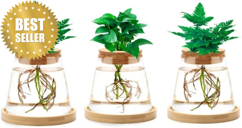 Plant Propagation Stations, 3 Pcs Glass Vases with Wooden Stand & Lid