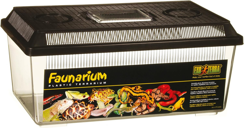 Faunarium, Flat Home, Plastic Reptile Terrarium, Medium (Pack of 1), PT2300