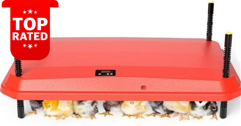 Chicken Brooder Heater Plate 40x60cm 66W Adjustable Height Chick Heating Pad