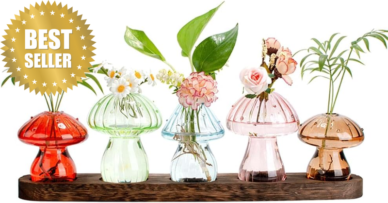 Glass Hydroponic Vase, 5 Colorful Mushroom Planter, Small Flower Vases with Wood